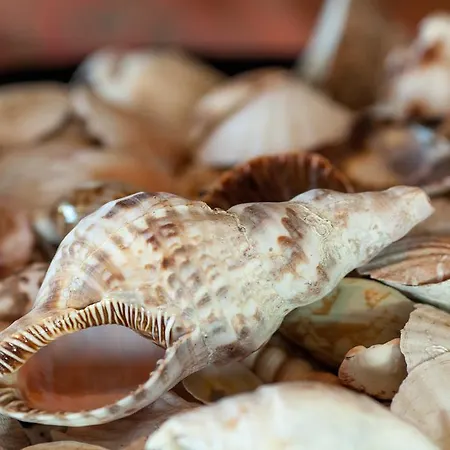 Fata Morgana Pomos