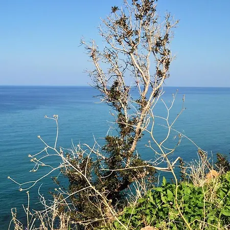 Villa Fata Morgana *