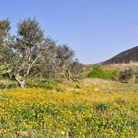 Villa Fata Morgana *